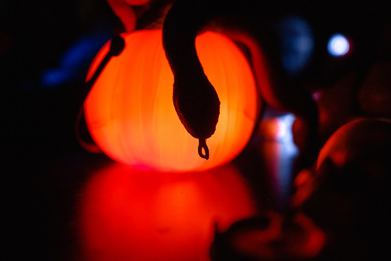 Украшение дома паутиной и летучими мышами к Хэллоуину в Rostov-on-Don